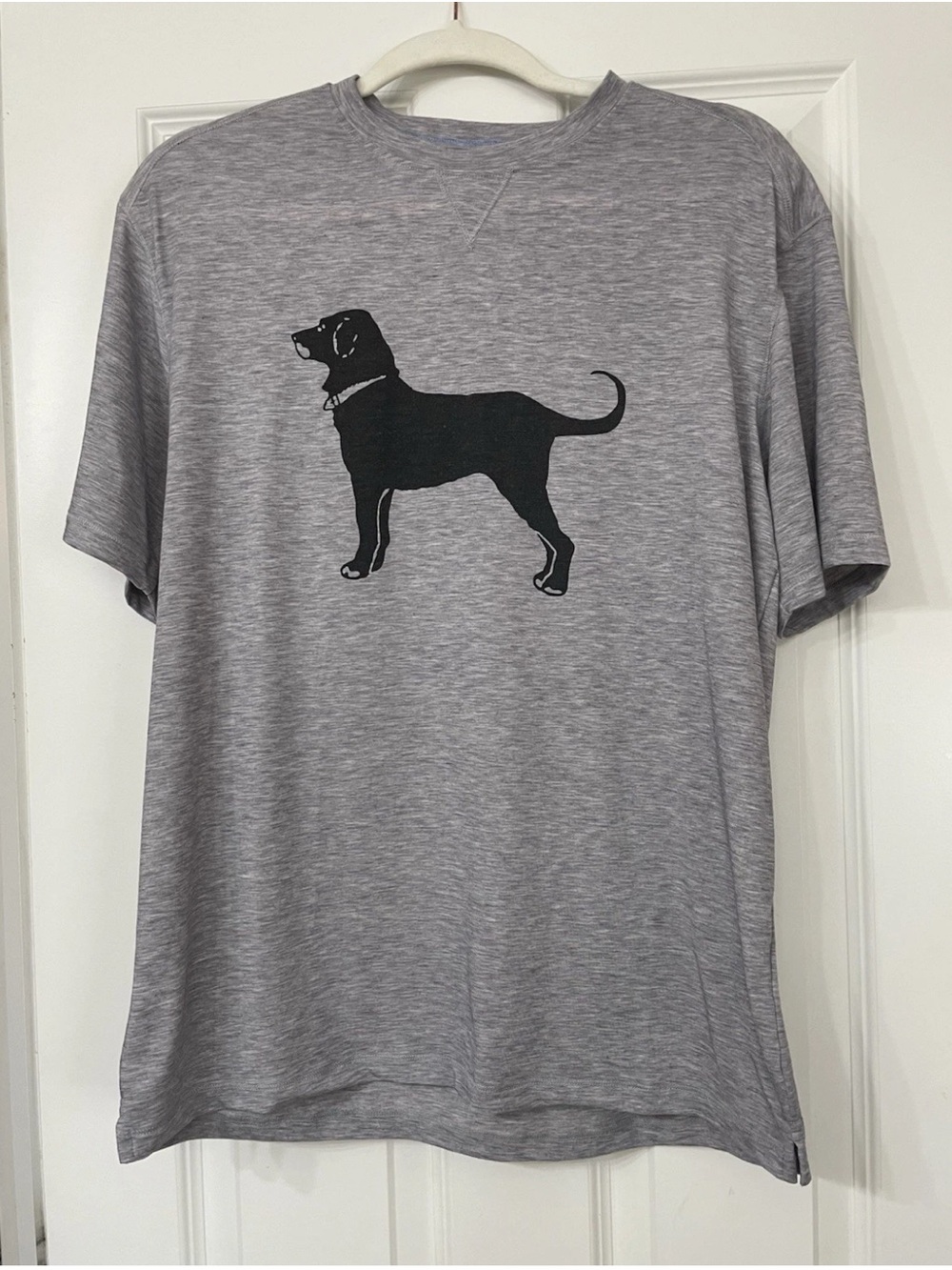 The Black Dog Unleashed Collection Men's Gray Graphic Logo Crew Tee S